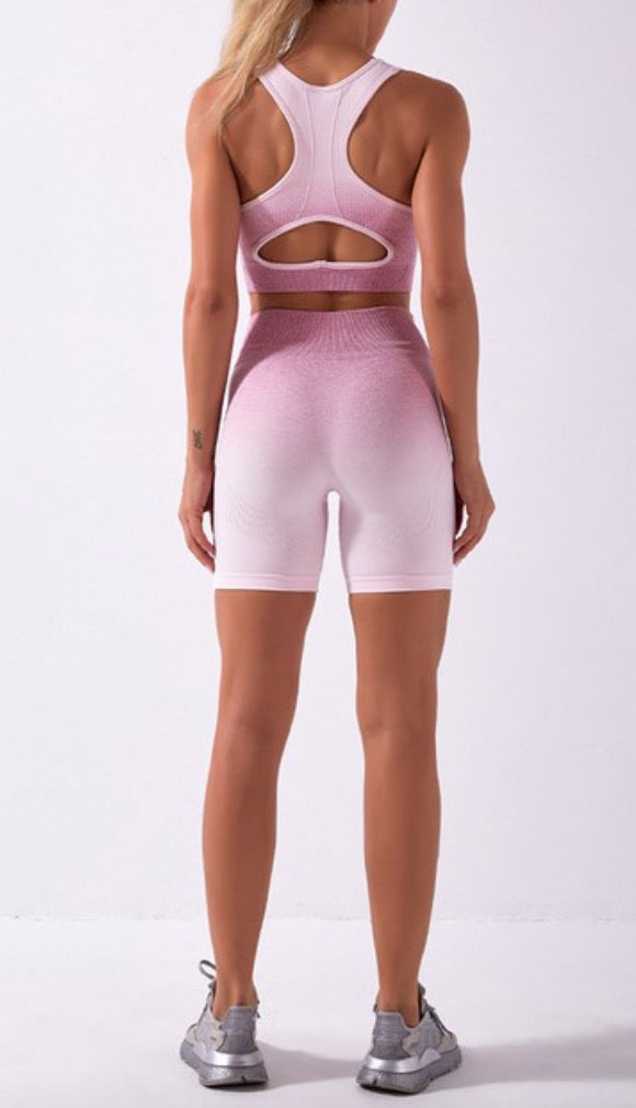 Seamless Crisscross Backless Wide Waistband Sports Set